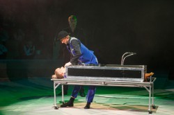 Чудо-Ёлка зажглась на арене цирка для детей из малообеспеченных семей