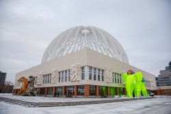 Чудо-Ёлка зажглась на арене цирка для детей из малообеспеченных семей