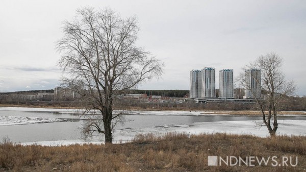 Прокуратура подала в суд на Водоканал за загрязнение Исети Прокуратура подала в суд на Водоканал за загрязнение Исети
