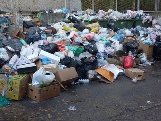 В Кургане после Нового года проверят качество вывоза мусора