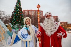 Комиссия оценила безопасность и зрелищность ледовых городков