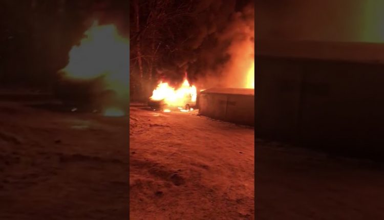 В Екатеринбурге заживо сгорели семь лошадей и шесть собак (ВИДЕО)