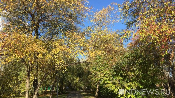 В парке на Уралмаше нашли труп девушки