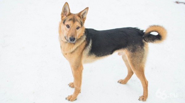 Причиняй добро правильно: главные законы новогодней благотворительности