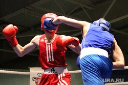 На Урале создают новую команду боксеров-патриотов. Ее цель — прогреметь на всю Россию На Урале создают новую команду боксеров-патриотов. Ее цель — прогреметь на всю Россию