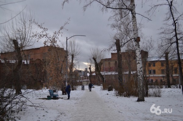 «Маразм и личные интересы»: органист филармонии обвинил в корысти защитников деревьев в саду Вайнера «Маразм и личные интересы»: органист филармонии обвинил в корысти защитников деревьев в саду Вайнера