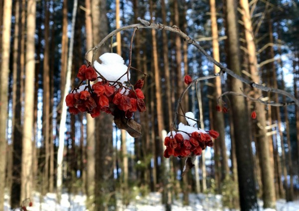 Синоптики дали прогноз погоды на первые рабочие дни 2020 года