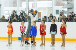 Новая ледовая арена в Екатеринбурге &laquo;вырастит&raquo; фигуристов-олимпиоников