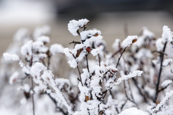 Синоптики обещают новое похолодание в Екатеринбурге
