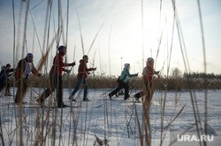 Болезнь профессионалов XXI века породила спрос на загородный отдых