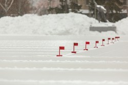 Конькобежный спорт: школьники и студенты вышли на «Лёд надежды нашей»