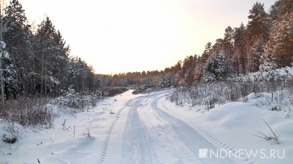 Ради биатлонного центра имени Шипулина от лесопарка отрезали более 50 га (КАРТА) Ради биатлонного центра имени Шипулина от лесопарка отрезали более 50 га (КАРТА)