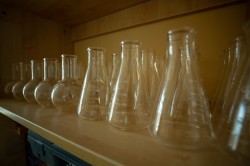 Глава Екатеринбурга открыл обновлённую школу на Уралмаше