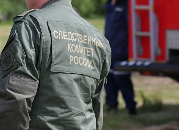 В Пензенской области возбудили уголовное дело об убийстве пропавшей соратницы «Сети»