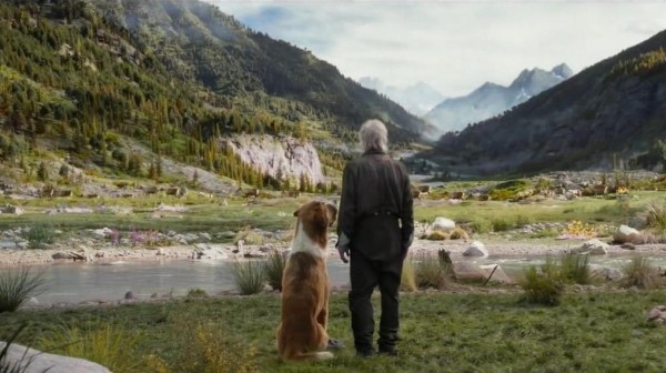 Белое безмолвие в 3D. Павел Матяж о новой экранизации «Зова предков»