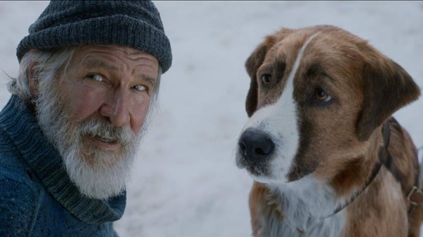 Белое безмолвие в 3D. Павел Матяж о новой экранизации «Зова предков»