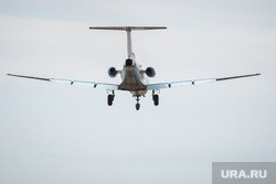 Минтранс хочет отпугивать птиц от аэропортов огнестрельным оружием и трупами сородичей Минтранс хочет отпугивать птиц от аэропортов огнестрельным оружием и трупами сородичей