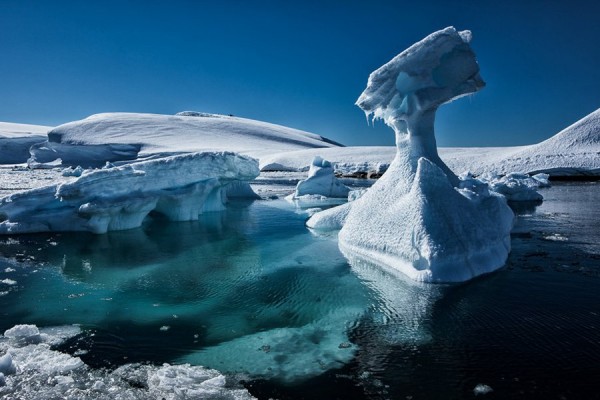 Антарктический вояж: екатеринбуржцы отправятся на ледяной континент