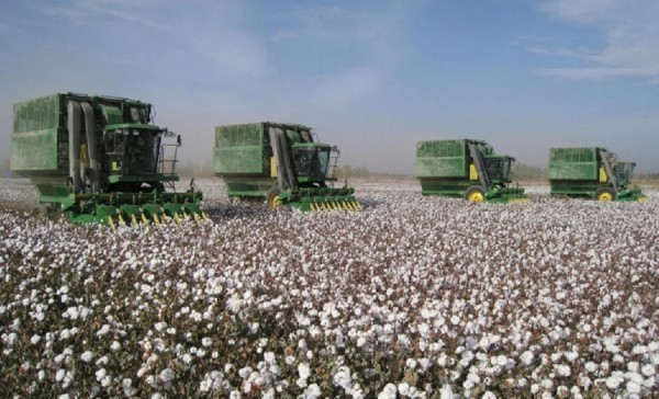 Производители Екатеринбурга выходят на прямые поставки текстиля из Узбекистана