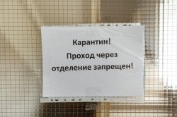 Александр Высокинский призвал пожилых жителей уральской столицы остаться дома