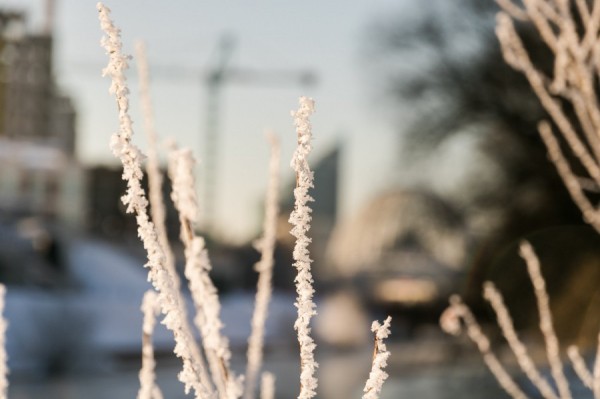 Синоптики предсказали похолодание в Екатеринбурге