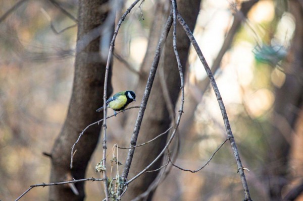 В столицу Урала пришло кратковременное похолодание