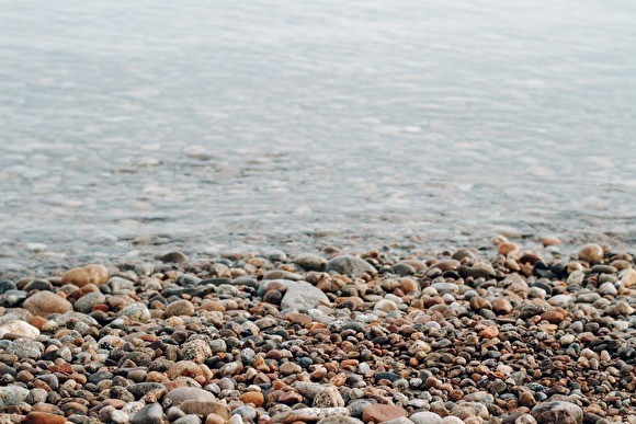 В Воронежской области чиновники отправили своих детей в Ялту вместо нуждающихся