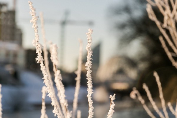 Предстоящая неделя на Среднем Урале будет ветреной и снежной