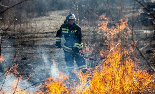 Власти Екатеринбурга установили противопожарный режим с 18 апреля Власти Екатеринбурга установили противопожарный режим с 18 апреля