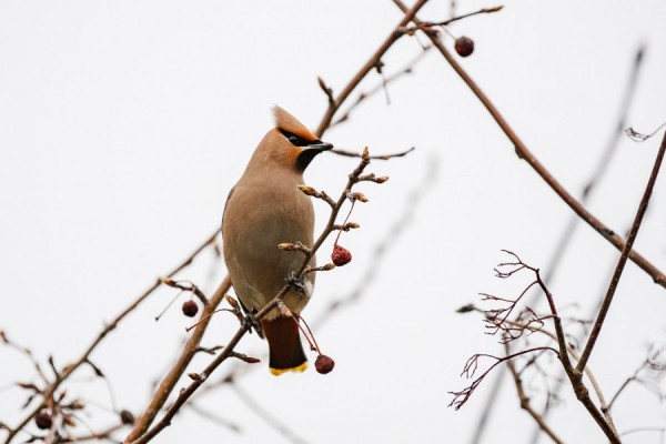 Синоптики предсказали пасмурную погоду на Пасху Синоптики предсказали пасмурную погоду на Пасху