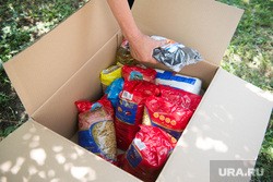 На Урале волонтеры во время пандемии помогли самым незащищенным жителям