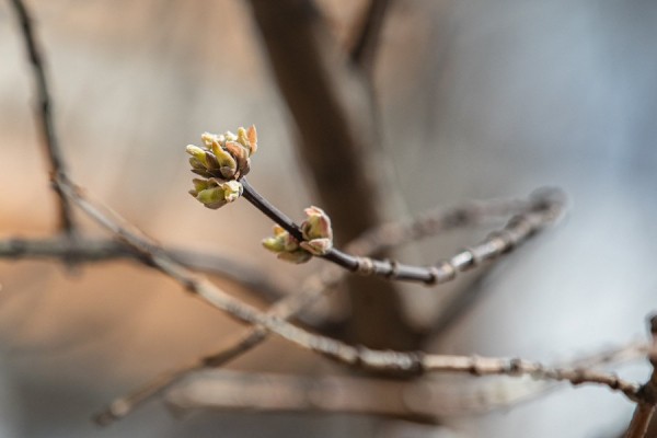 Погода в Екатеринбурге на четверг: без существенных осадков Погода в Екатеринбурге на четверг: без существенных осадков