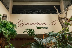 Последний звонок в Екатеринбурге прозвучит онлайн для всех выпускников Последний звонок в Екатеринбурге прозвучит онлайн для всех выпускников