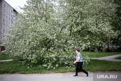 Климатолог объяснил весенние погодные аномалии