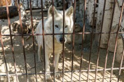 Обитатели зоопарка ждут окончания режима самоизоляции