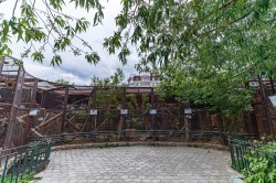 Обитатели зоопарка ждут окончания режима самоизоляции