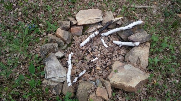 Деревья в лесу под Березовским заклеймили мистическими знаками. В деле разбираются лесники и религиоведы