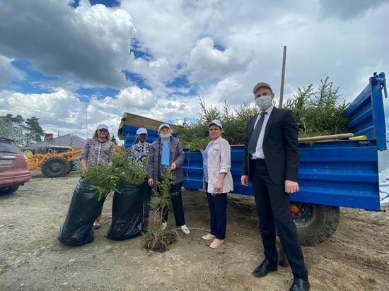 В Белоярском ГО высадят 200 елочек в рамках акции "Сад Победы"