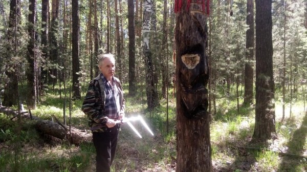 Деревья в лесу под Березовским заклеймили мистическими знаками. В деле разбираются лесники и религиоведы