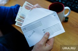 Мишустина предупредили о рисках при оформлении детских выплат