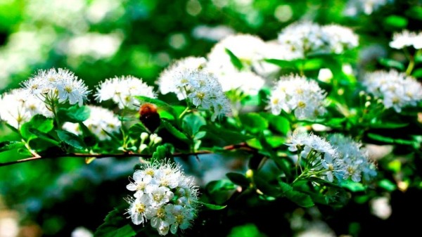 В понедельник в Свердловской области похолодает до -2 °C