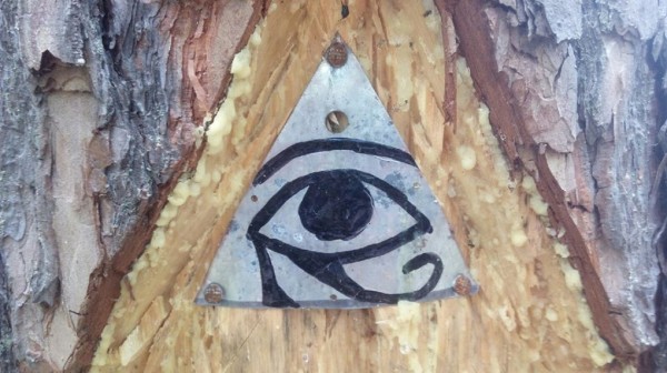 Деревья в лесу под Березовским заклеймили мистическими знаками. В деле разбираются лесники и религиоведы