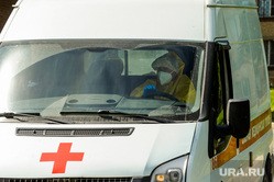 Коронавирус: последние новости 6 июня. 400 тысяч смертей в мире, Путин просит повременить с концертами