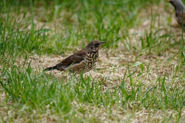 В четверг в Екатеринбурге похолодает