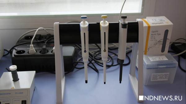 АрхивВ России учатся соединять лекарства в одну суперпилюлю: как это выглядит (ФОТО)