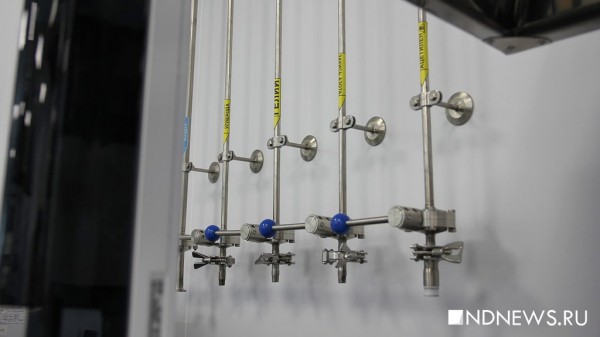 АрхивВ России учатся соединять лекарства в одну суперпилюлю: как это выглядит (ФОТО)