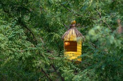 Городские лагеря готовы к работе даже в период пандемии