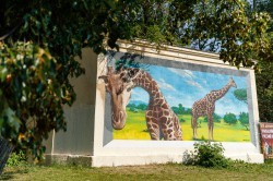 Участники фестиваля уличного искусства Public art преображают Екатеринбург Участники фестиваля уличного искусства Public art преображают Екатеринбург