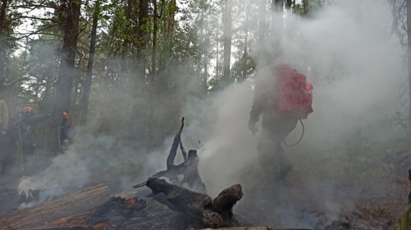 Екатеринбург окутала дымка с запахом гари. Три возможные причины Екатеринбург окутала дымка с запахом гари. Три возможные причины