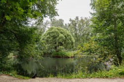 Александр Высокинский проинспектировал объекты строительства и ремонта в Кировском районе. Часть I